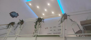 Domus DEA Holiday Home